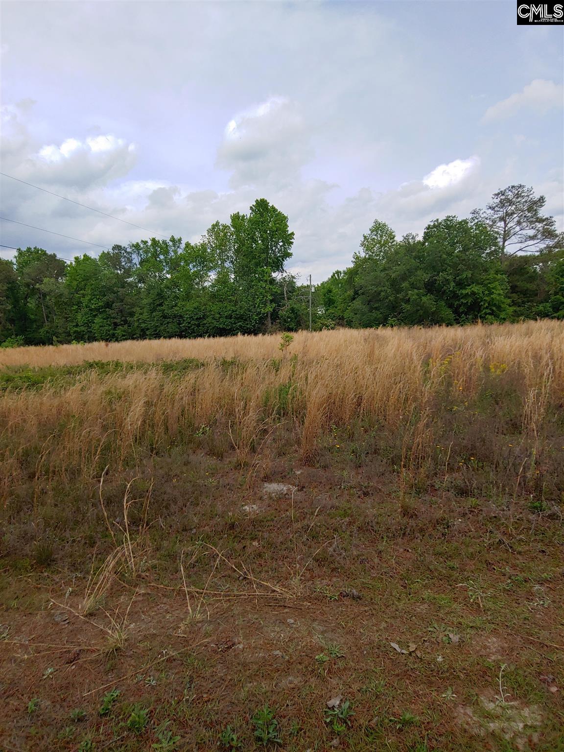 3907 Mineral Springs Road, Lexington, South Carolina image 8